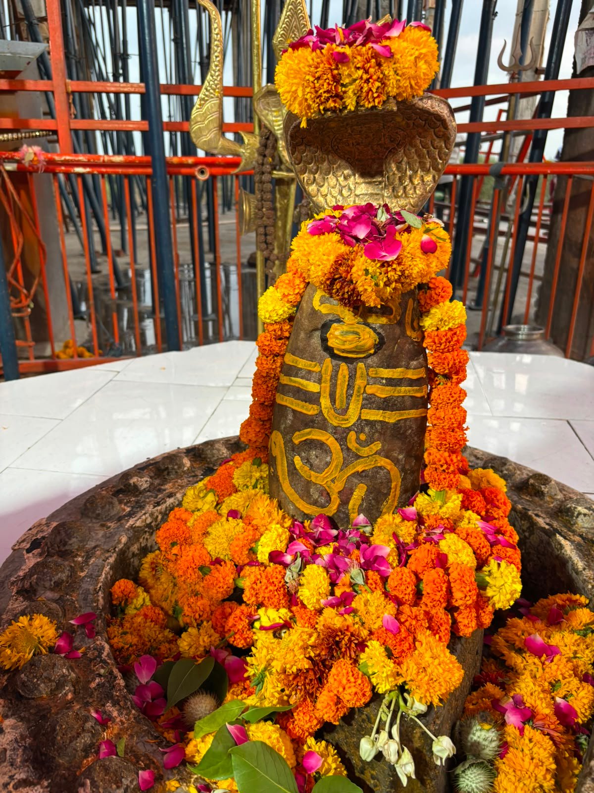 आज के दिव्य दर्शन